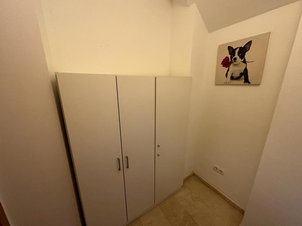 Fantastic Apartament The Center マラガ エクステリア 写真